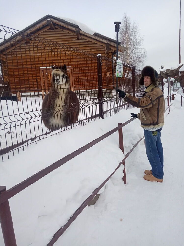 ���������� ������, ���� ������� Roman, 52 ����, ������������ ��� ����� � ���������, c�������� ���������