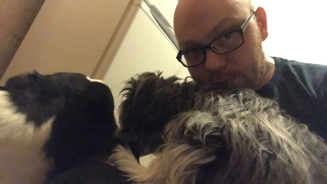 ���������� ������, ���� ������� �����, 35 ���, ������������ ��� ������, ����� � ���������