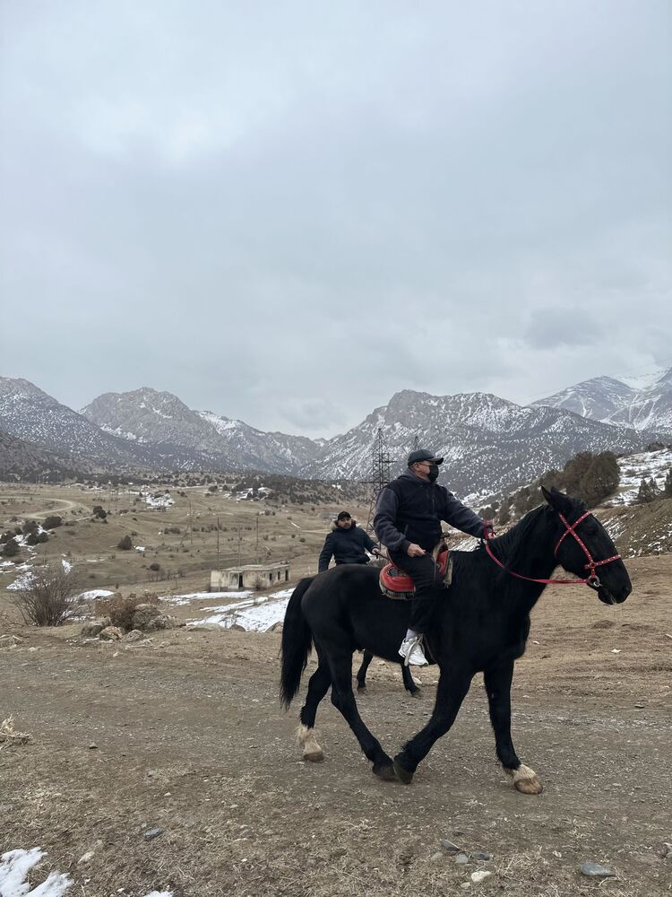 ���� 41084993 ������� ��������, 38 ���, ���� ���������� � ��������