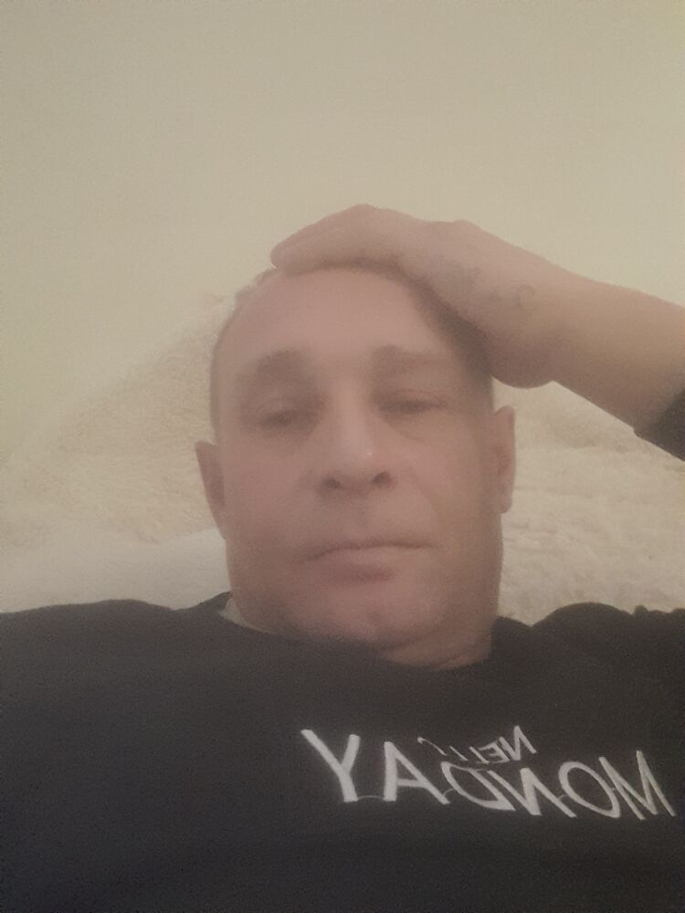  41355953  , 43 ,    