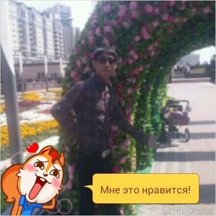  7430703  Dima, 38 ,    
