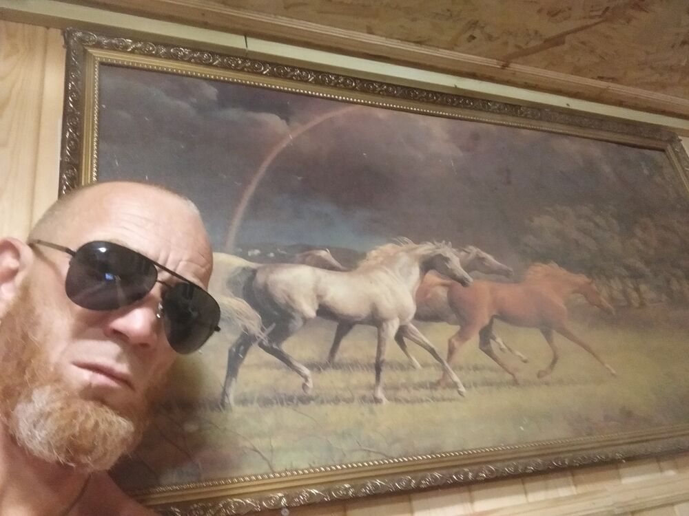  36623093  , 38 ,    