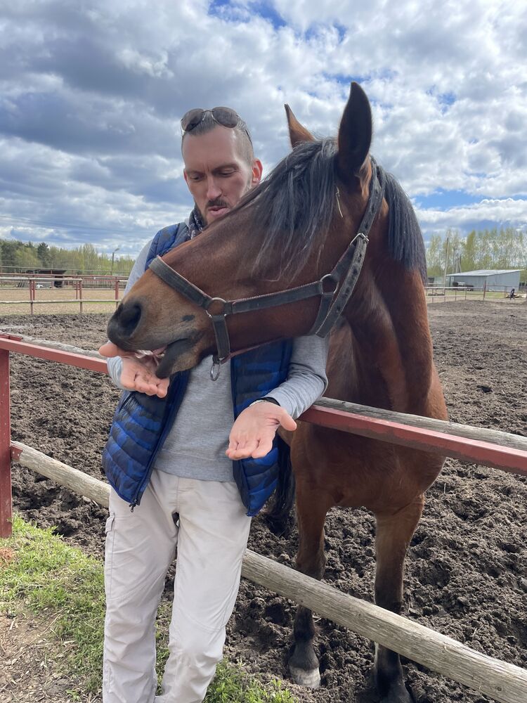 ���������� ������, ���� ������� �������, 40 ���, ������������ ��� ������, ����� � ���������, c�������� ���������