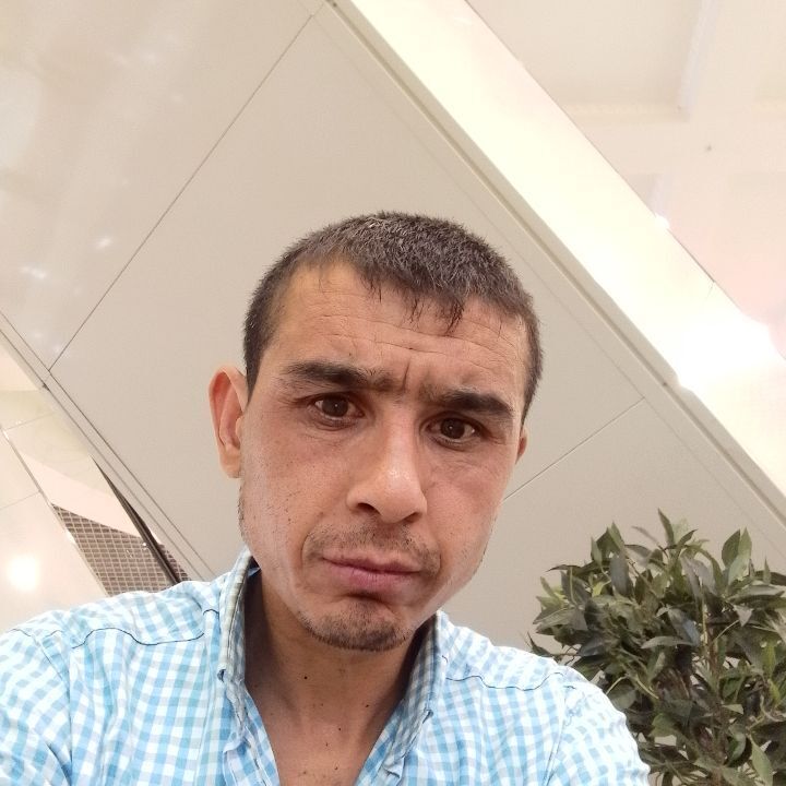 ���� 38027813 ������� �������, 34 ����, ���� ���������� � ������