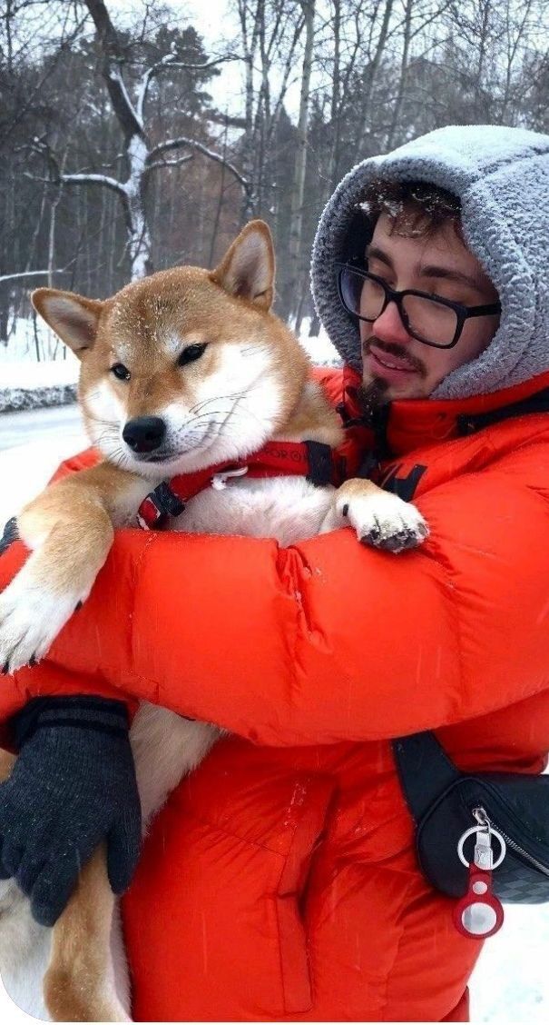 ���������� ������, ���� ����� ������, 21 ���, ������������ ��� ������, ����� � ���������