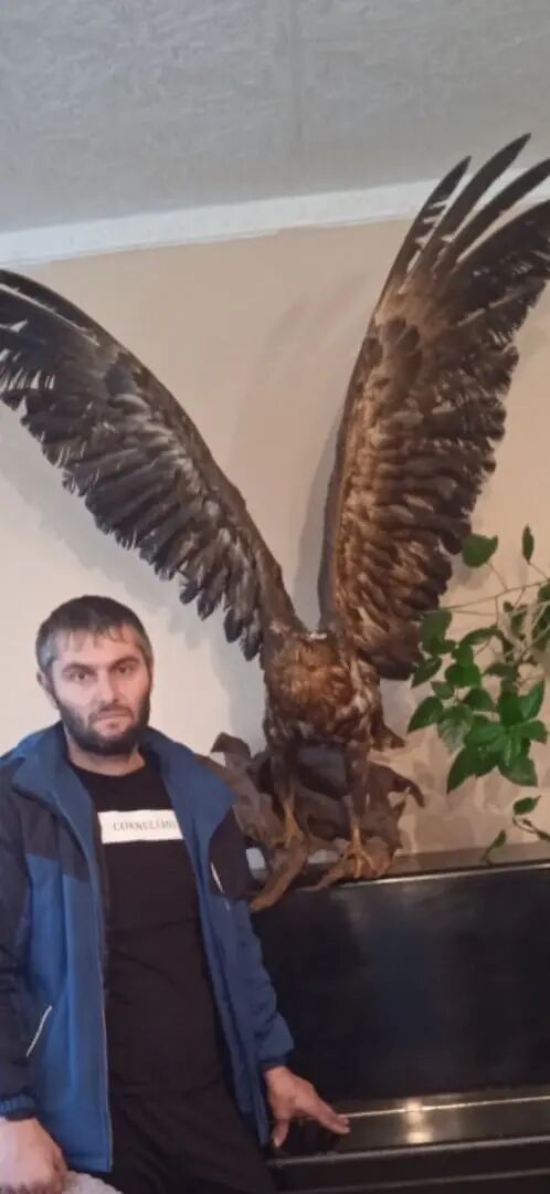 ���� 51545613 ������� ����, 39 ���, ���� ���������� � ������