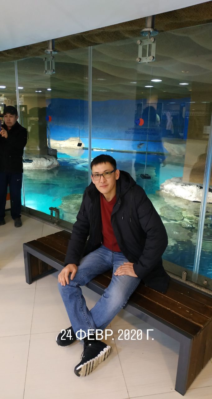 ���� 23161343 ������� ����, 44 ����, ���� ���������� � �������