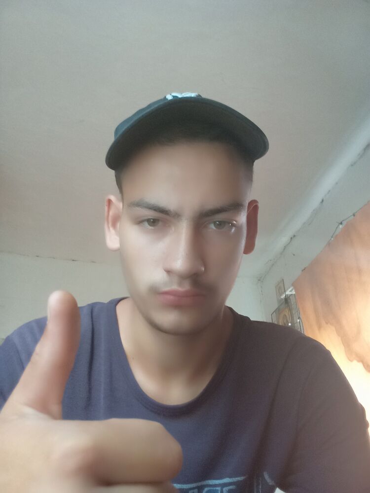  45569263  , 22 ,    
