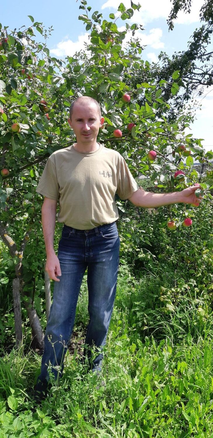  23481733  Axip, 35 ,    