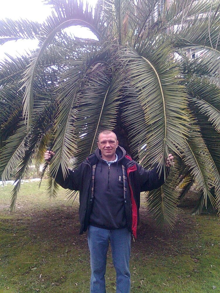  ,   , 55 ,   