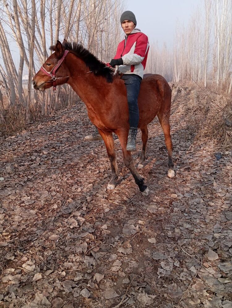  ,   Abduraxmon, 24 ,   ,   