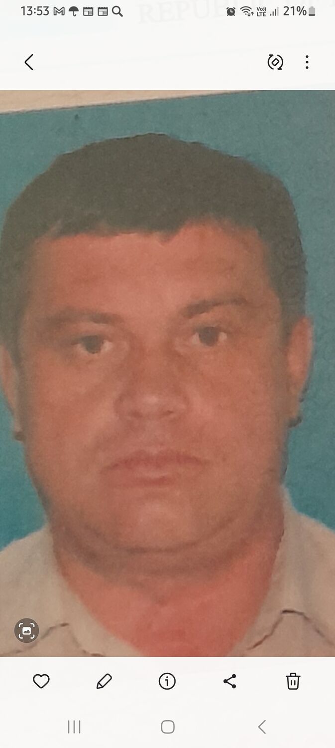  52334163  , 49 ,    -