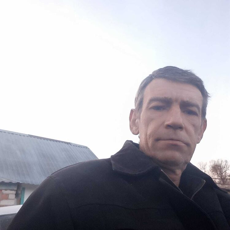  41203193  , 50 ,    