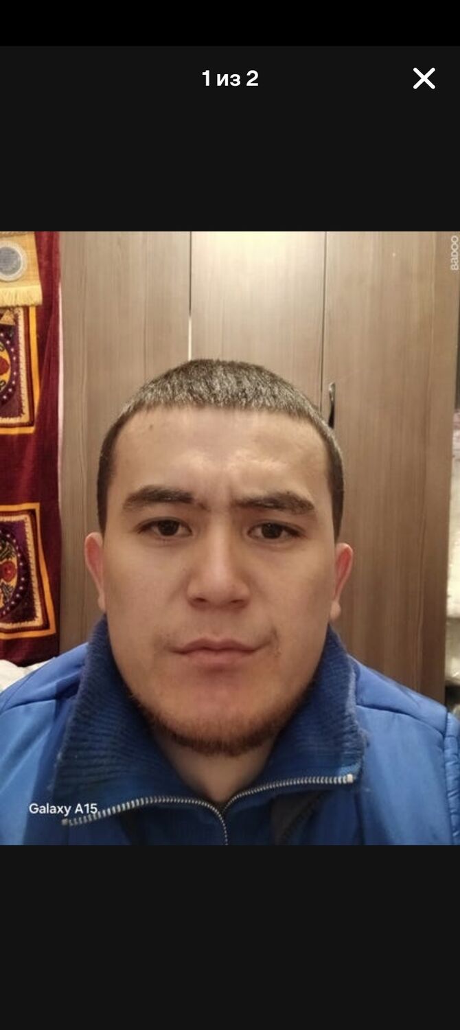 ���� 56082113 ������� ���������, 32 ����, ���� ���������� � �������