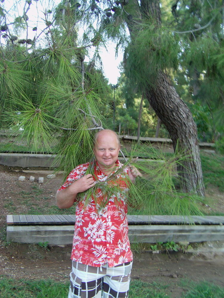  ,   Mazouka, 47 ,   ,   , c 