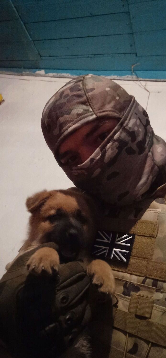 ���� 54893503 ����� �����, 18 ���, ���� ���������� � Algolsheim