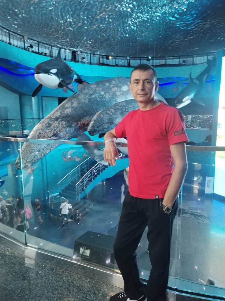 ���������� ���������, ���� ������� ����, 41 ���, ������������ ��� ����� � ���������, c�������� ���������