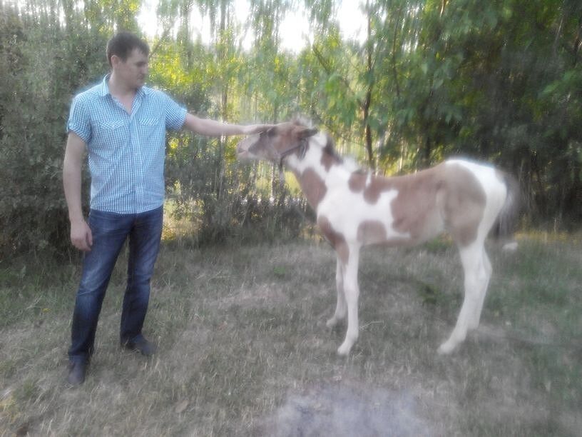 ���������� �������, ���� ������� �����, 39 ���, ������������ ��� ������, ����� � ���������, c�������� ���������