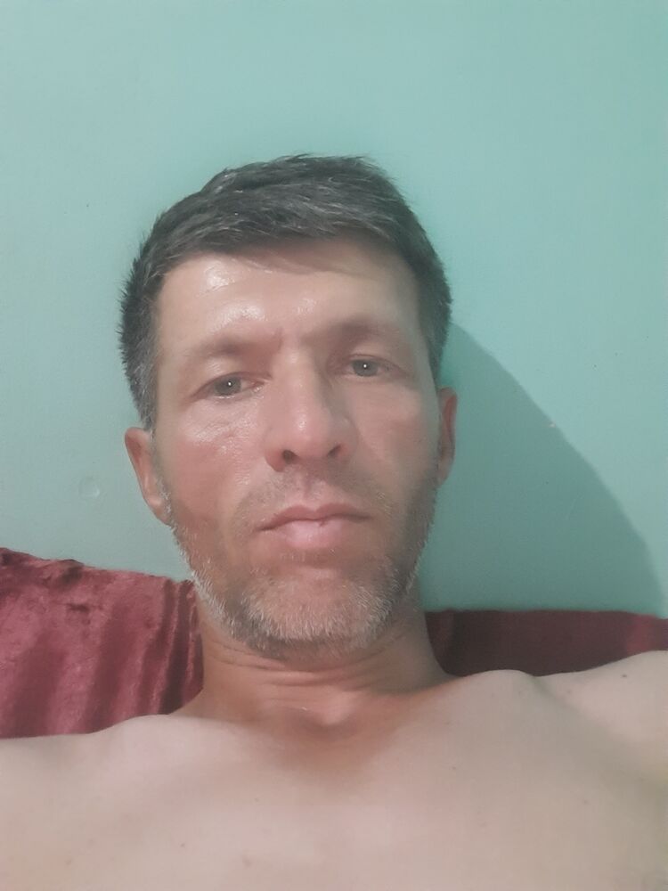  43785773  , 41 ,    
