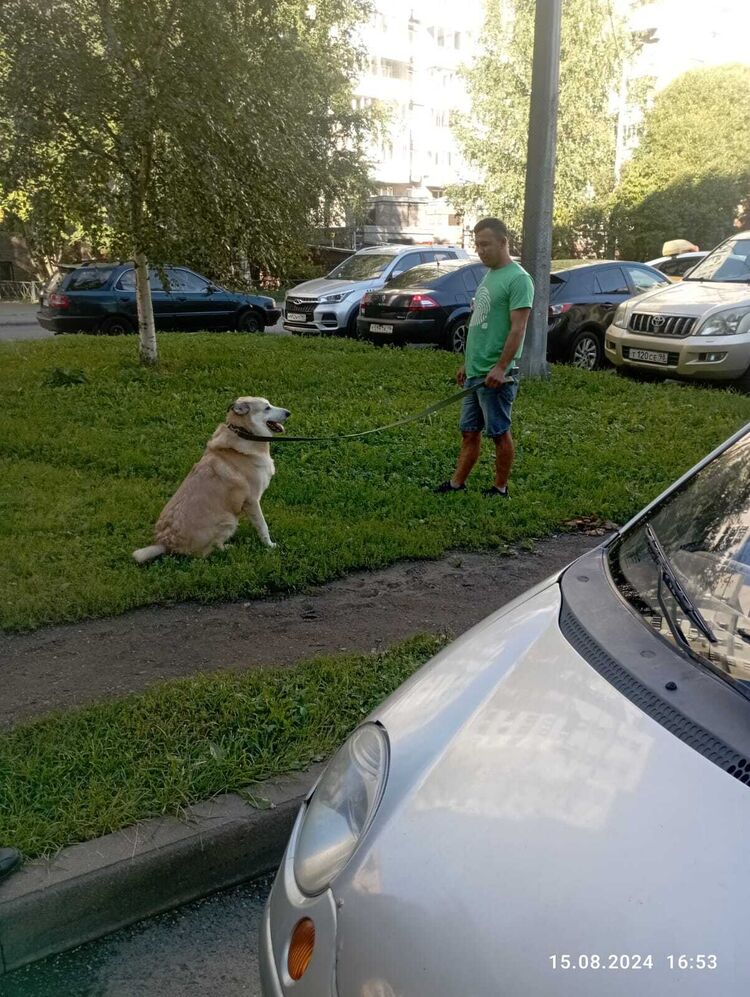 ���������� �����-���������, ���� ������� Alik, 34 ����, ������������ ��� ������, ����� � ���������