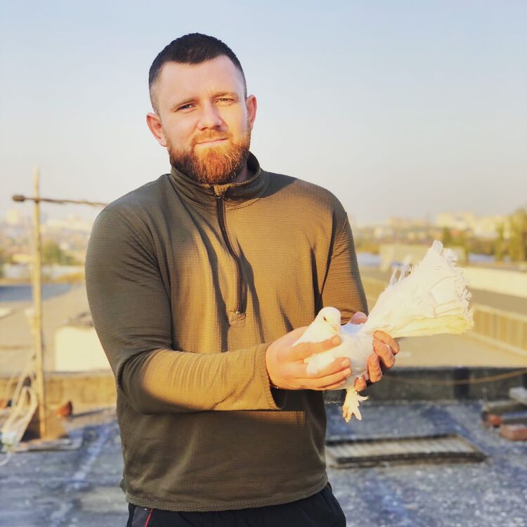 ���� 24266503 ������� �����, 34 ����, ���� ���������� � ������