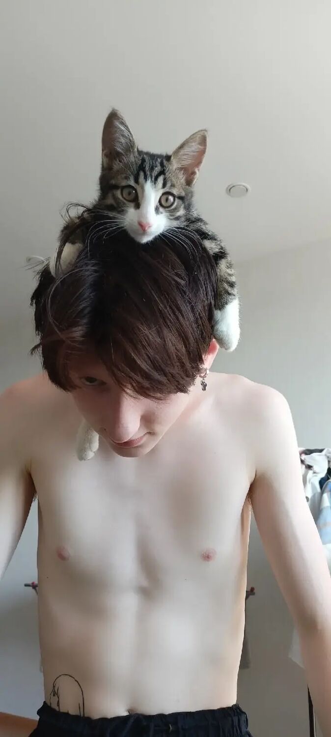 ���������� �����, ���� ����� ������, 22 ����, ������������ ��� ������, ����� � ���������, ���������