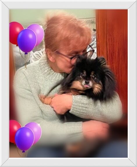 ���� 55301693 ������� ������, 55 ���, ���� ���������� � ��������