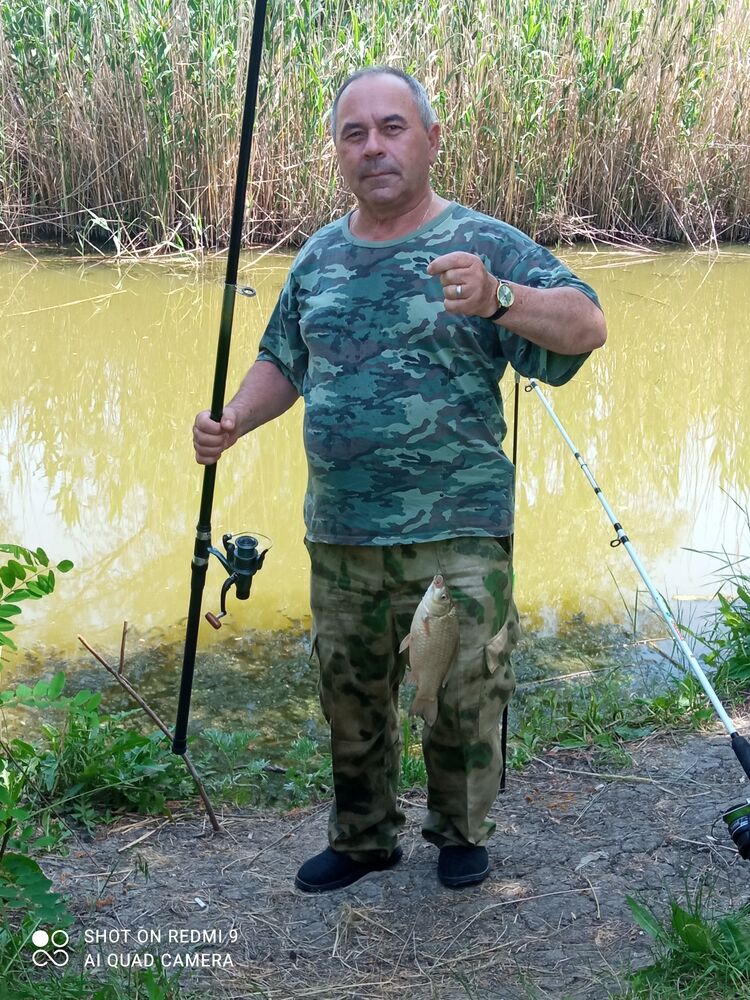  52401233  , 66 ,    --