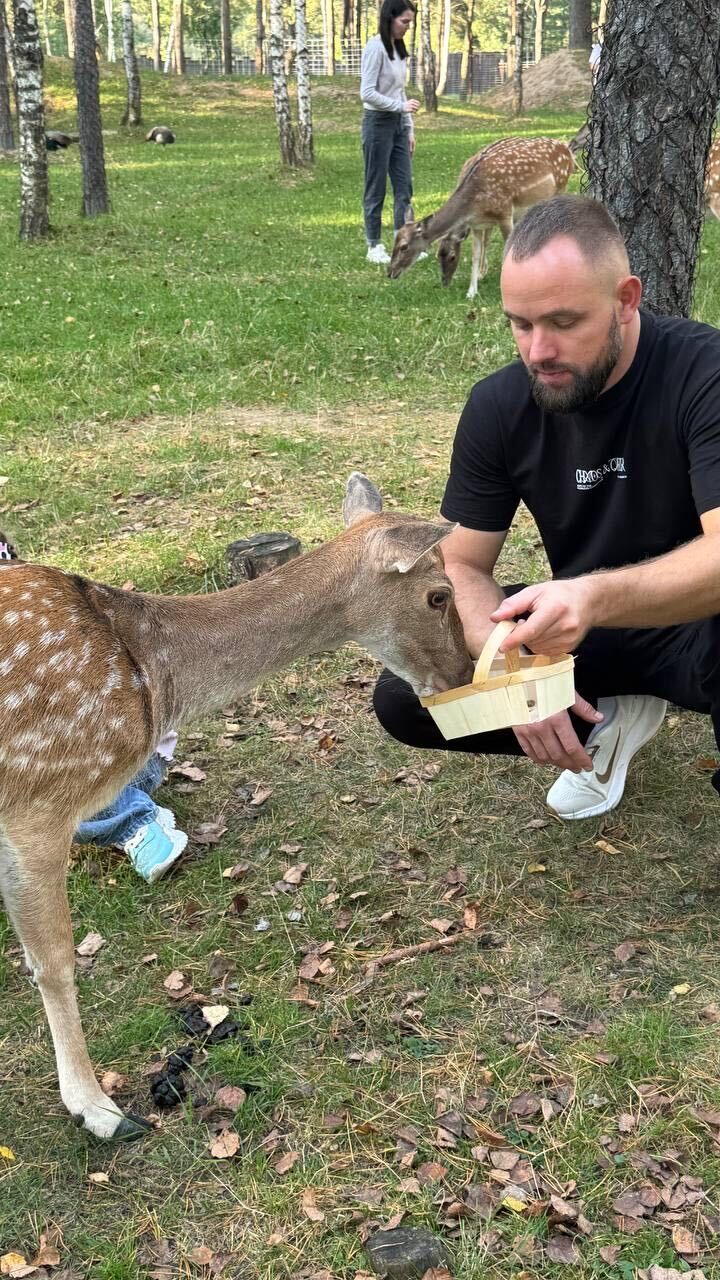 ���� 54951623 ������� ��������, 36 ���, ���� ���������� � ������