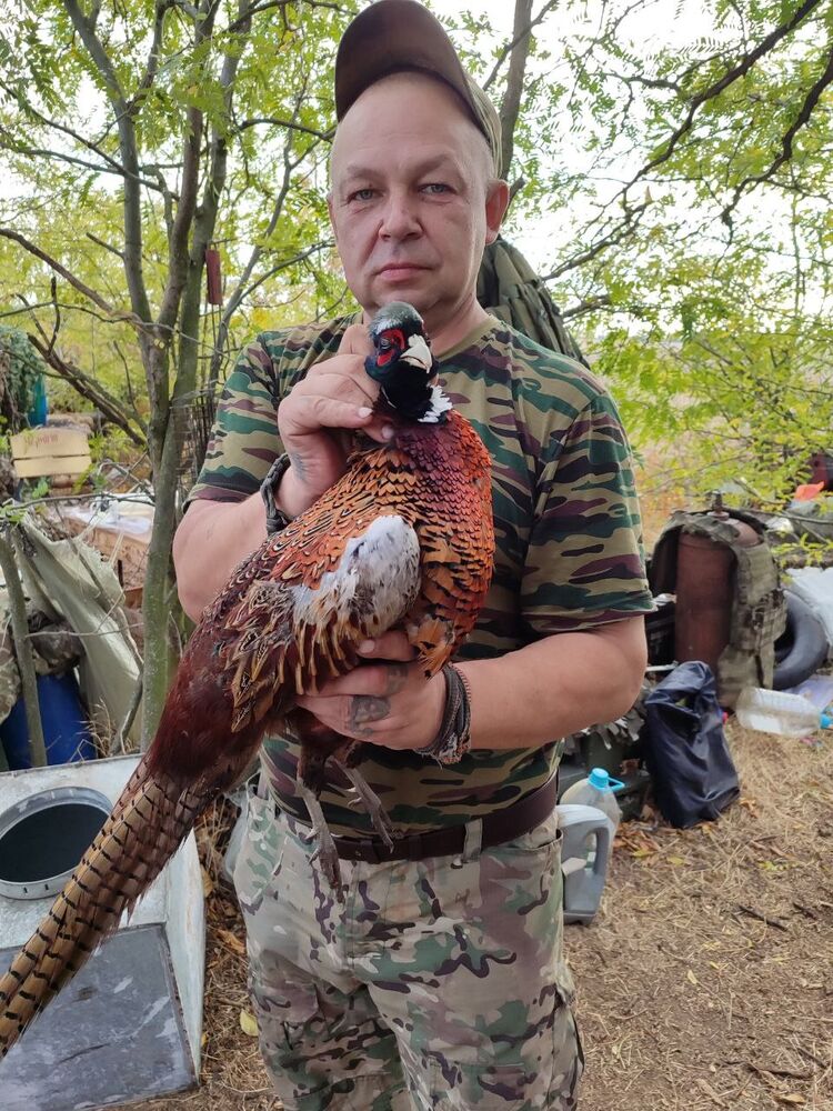 ���������� ������� �����, ���� ������� �������, 49 ���, ������������ ��� ������, ����� � ���������