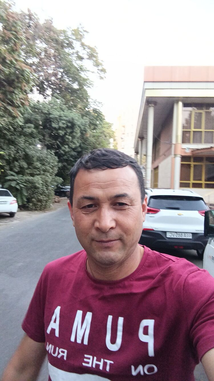  53523933  , 45 ,    