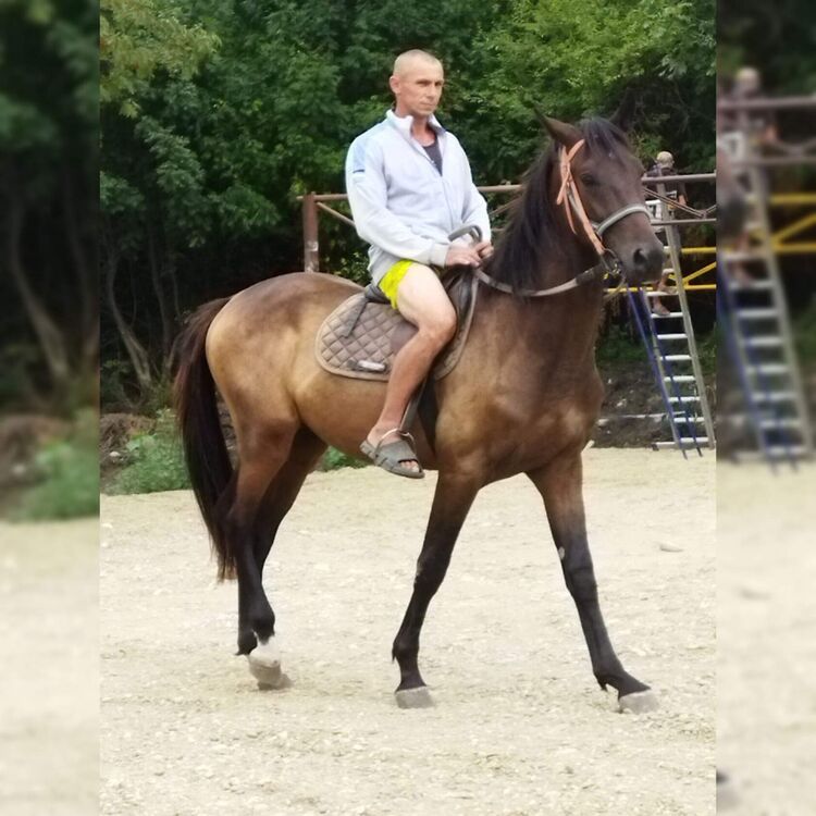 ���������� ���������, ���� ������� ��������, 46 ���, ������������ ��� ������, ����� � ���������, c�������� ���������, ���������