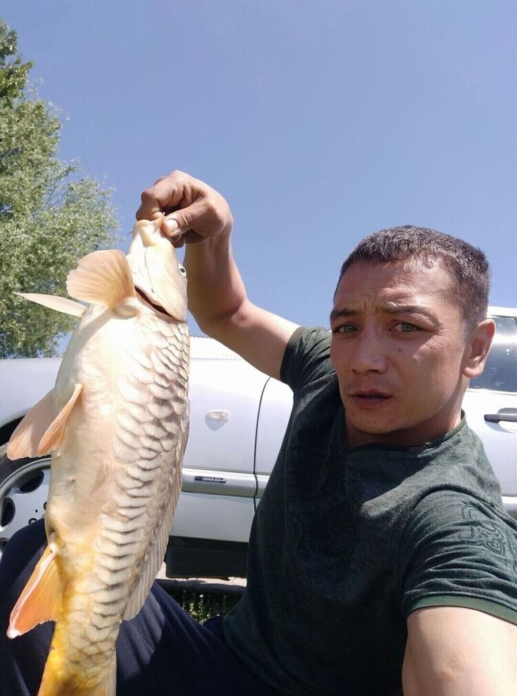  -,   , 38 ,   ,   