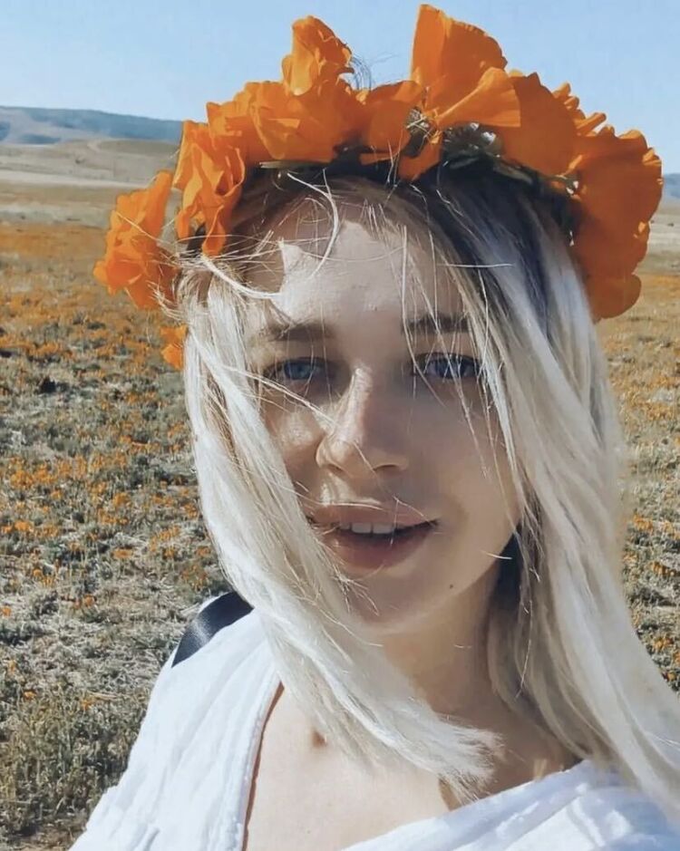  43171663  , 29 ,    -