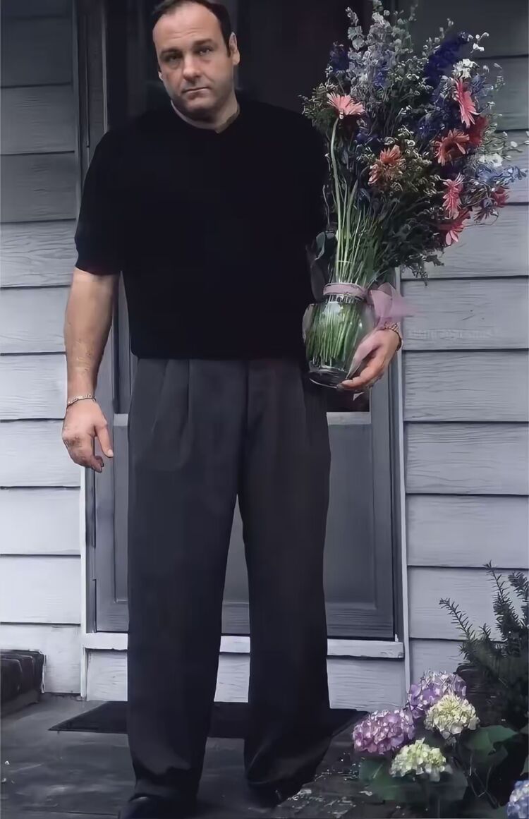 ���� 55666933 ����� ������, 25 ���, ���� ���������� � ���������