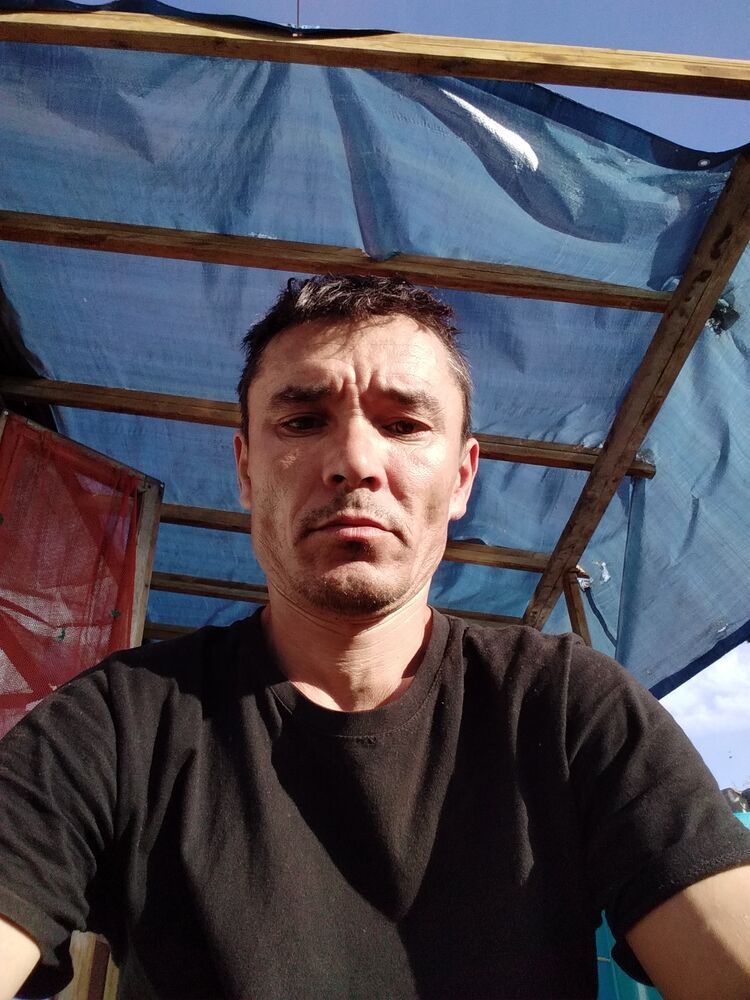  46526543  , 37 ,    