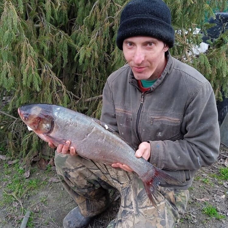 ���� 44347853 ������� ������, 35 ���, ���� ���������� � ����������