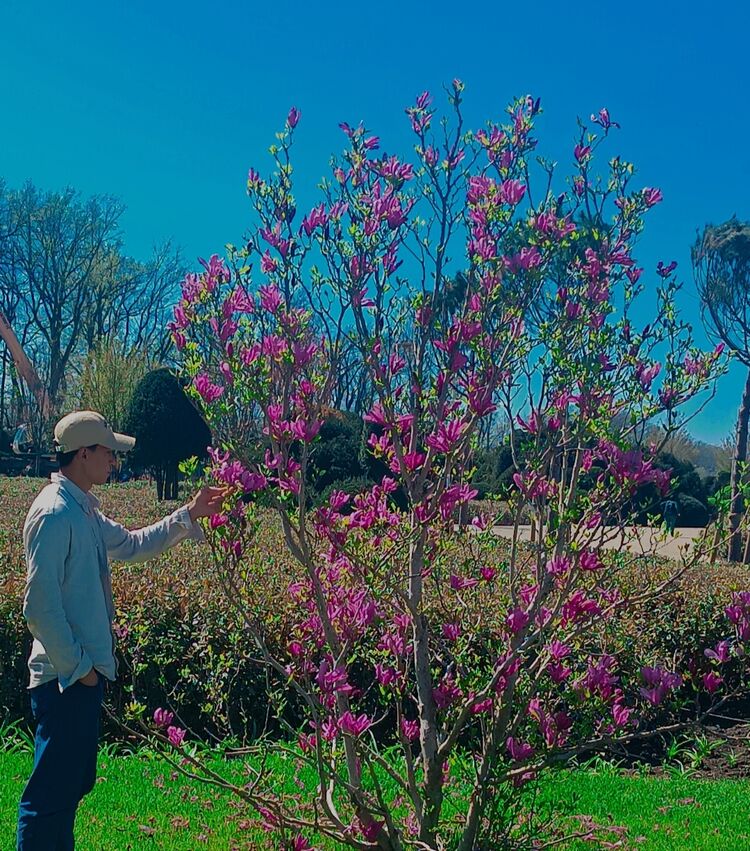 ���� 42364893 ����� ���, 21 ���, ���� ���������� � ����������