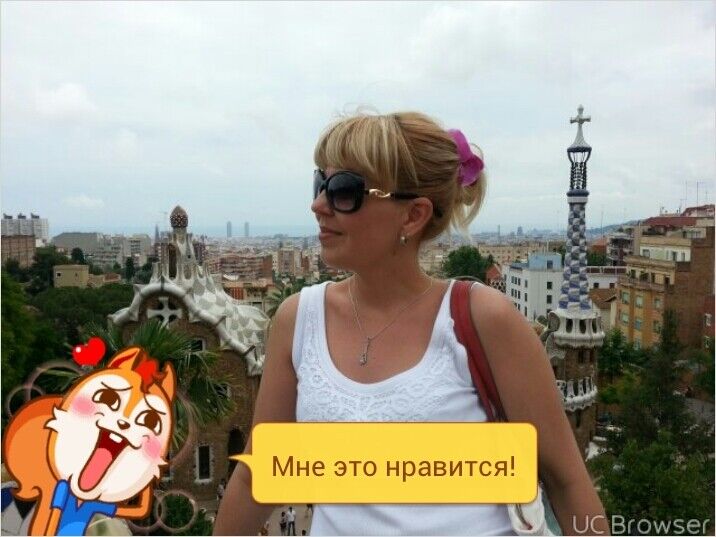  8599433  , 49 ,    