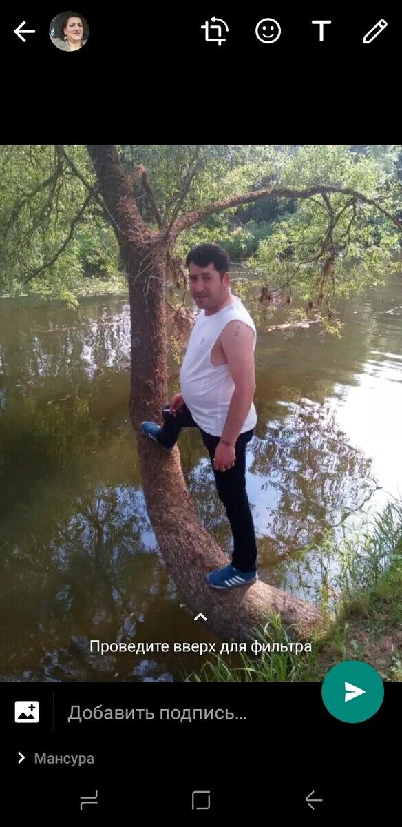 ���������� ����, ���� ������� ���, 44 ����, ������������ ��� ������, ����� � ���������