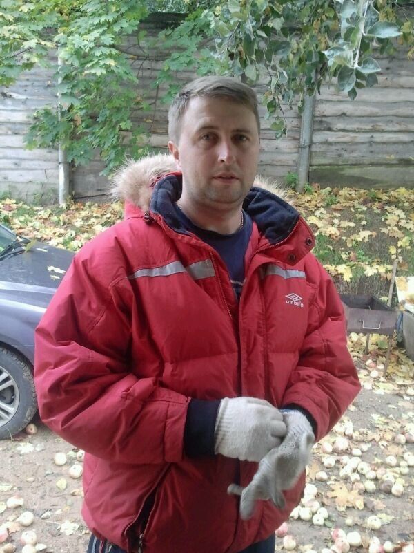 ���� 8333303 ������� ������, 48 ���, ���� ���������� � ������