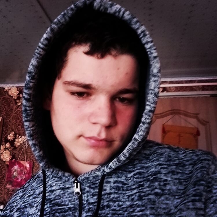  33491763  , 23 ,    