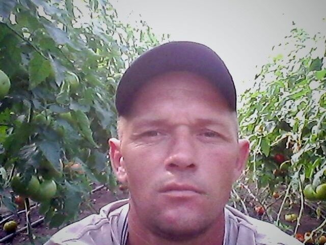  9776563  , 45 ,    