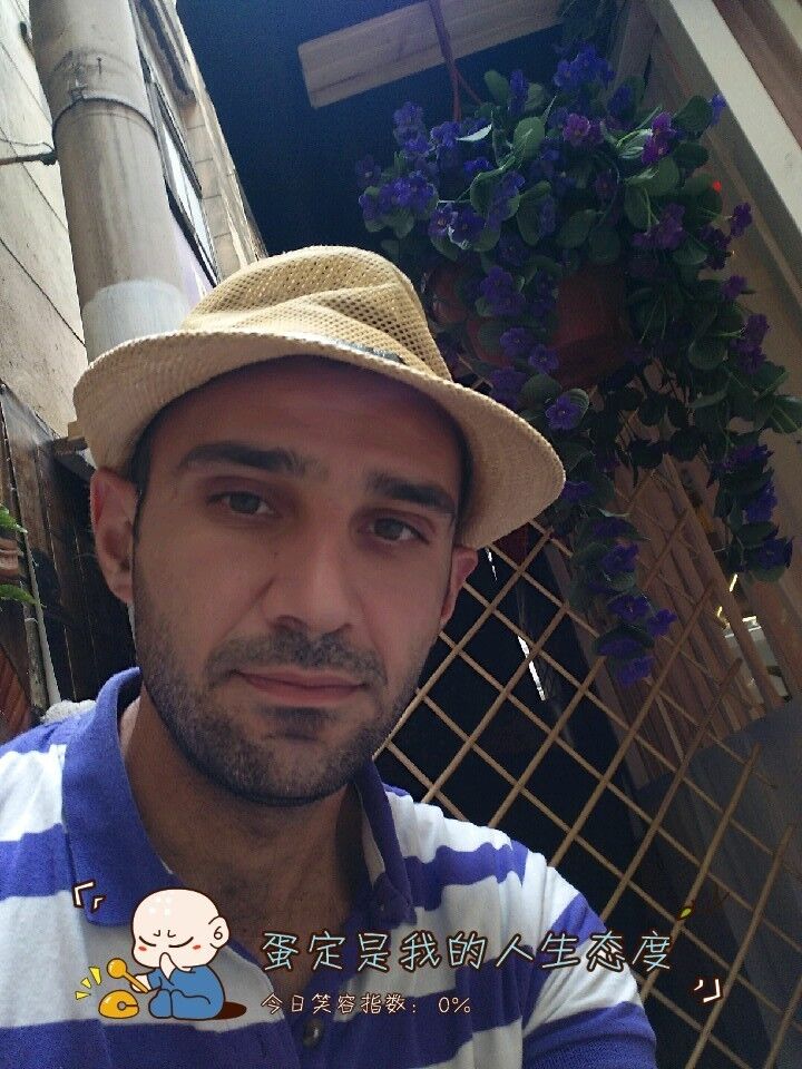  17084383  , 36 ,    -