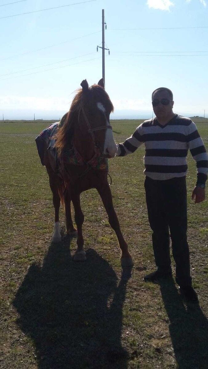 ���� 14909183 ������� ������, 42 ����, ���� ���������� � ����-������������