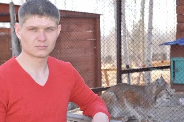 ���� 34175223 ������� ��������, 36 ���, ���� ���������� � �������������