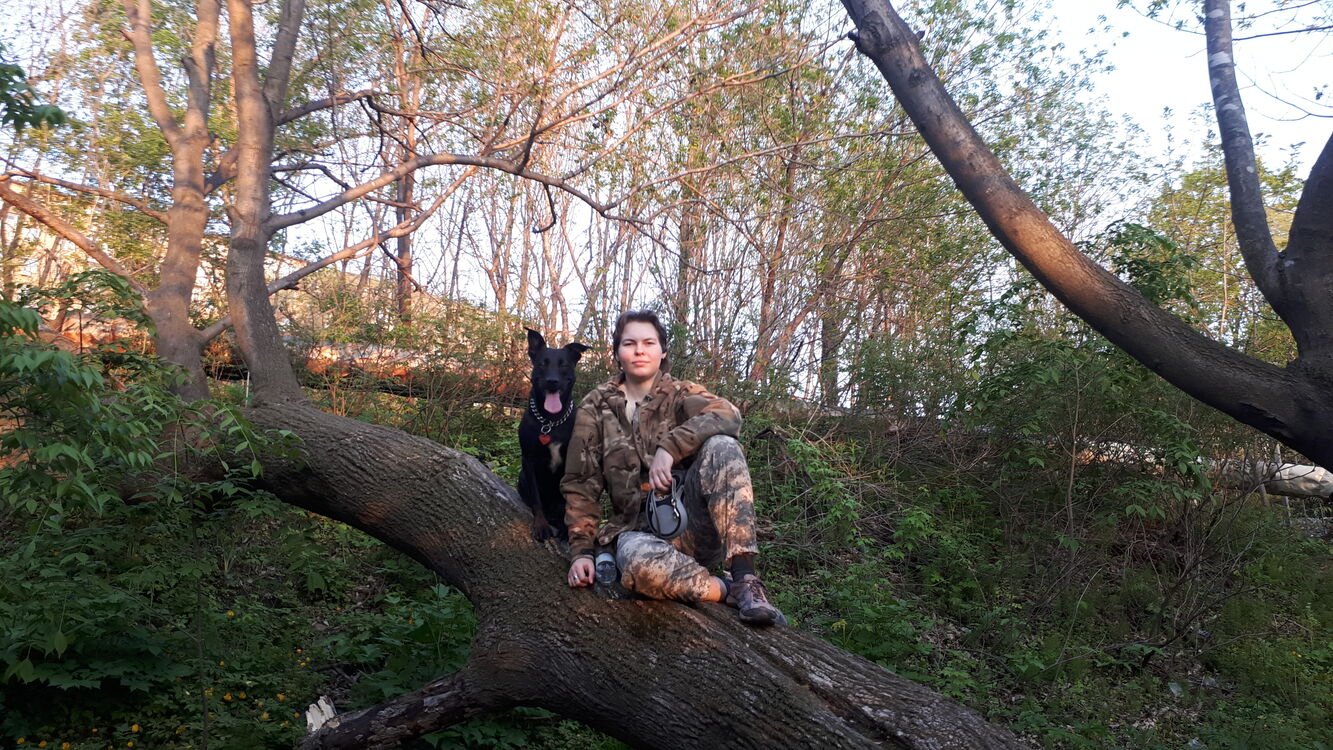 ���������� �����������, ���� ������� ���������, 26 ���, ������������ ��� ����� � ���������, c�������� ���������