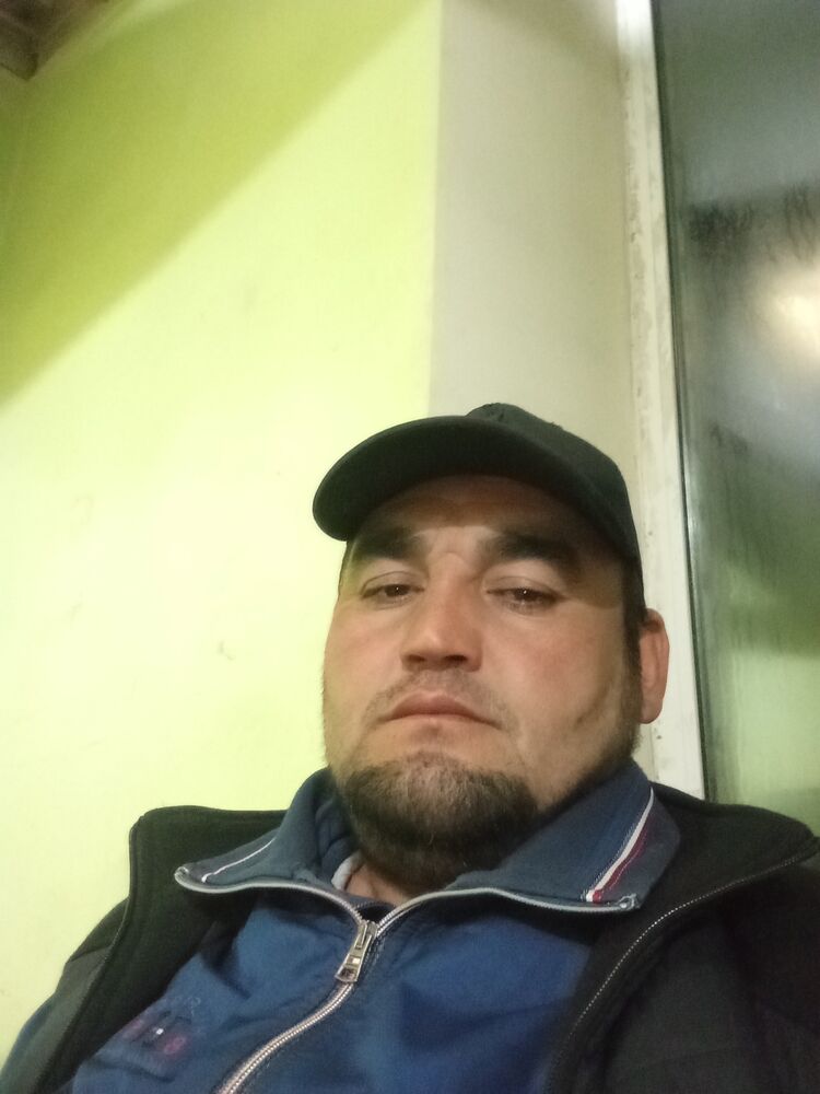  47880313  , 37 ,    
