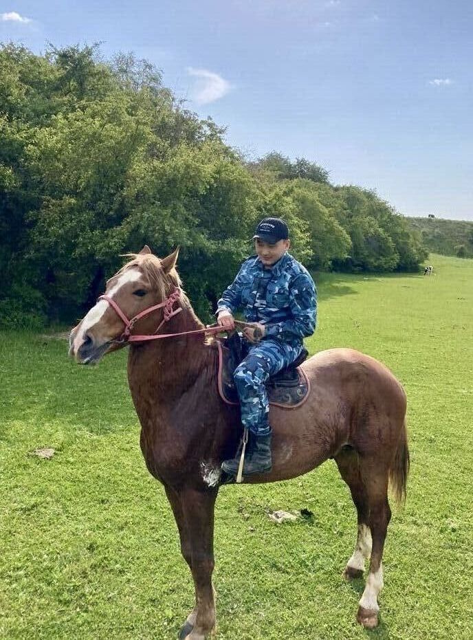 ���������� ������, ���� ������� ���, 27 ���, ������������ ��� ������