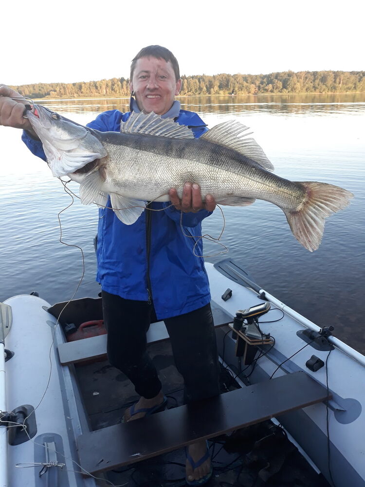 ���������� ������, ���� ������� ������, 50 ���, ������������ ��� ����� � ���������, c�������� ���������